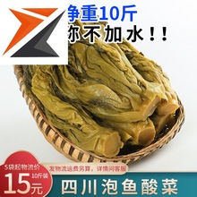 四川特产泡青菜川龙泡鱼酸菜泡菜散装不加水5公斤袋装商用