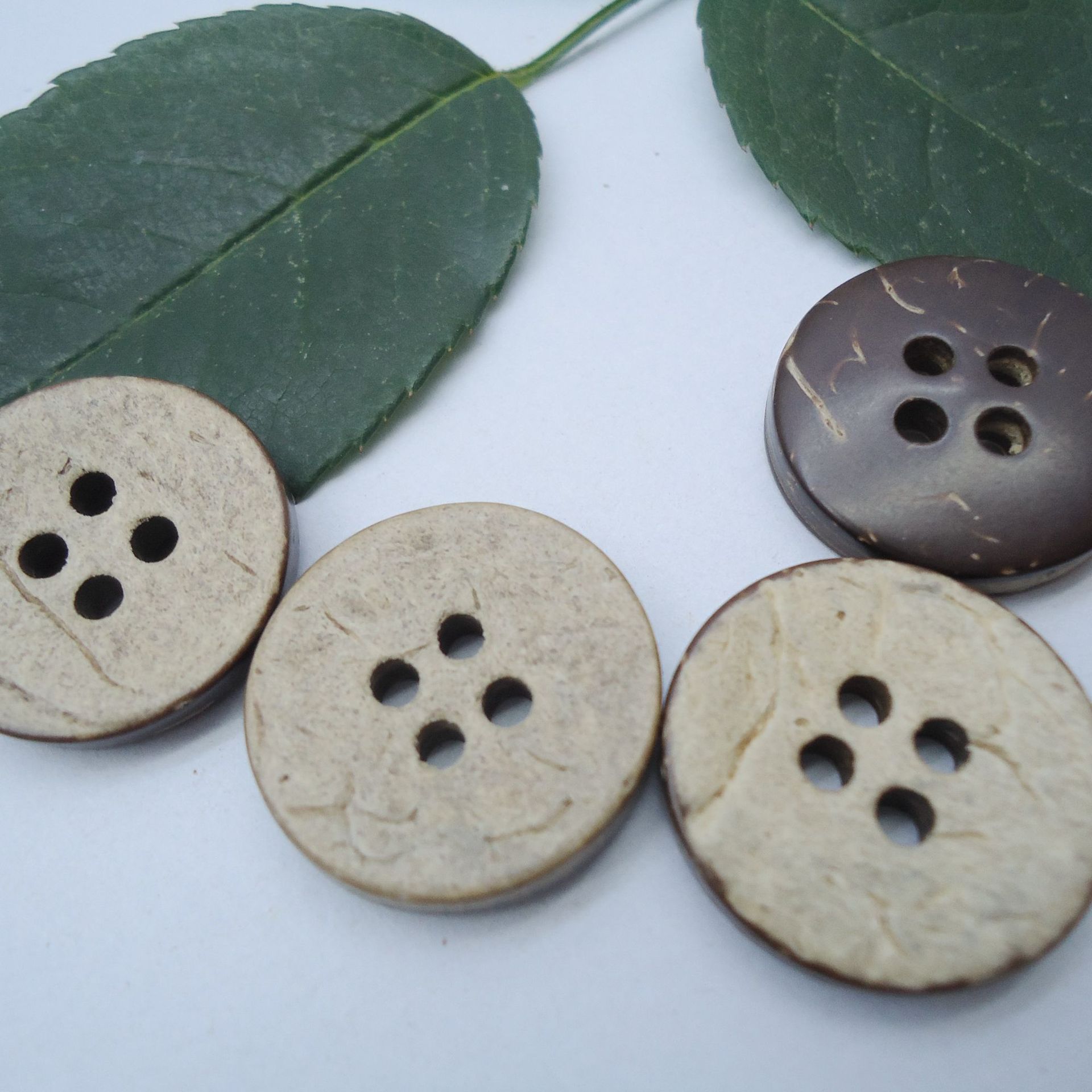 厂家批发椰子扣两眼四眼木纽扣diy定制钮扣现货供应过环保测试