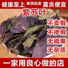 紫苏叶 紫苏叶干苏子叶中药材无梗香料野生天然纯新鲜干苏叶泡茶