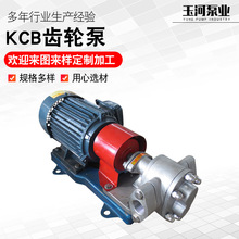 泊玉河齿轮泵厂家  加工定制 齿轮泵厂家供应  kcb83.3齿轮泵