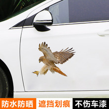 创意个性3D立体老鹰汽车贴纸 防雨老鹰遮挡车身车尾划痕刮痕