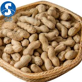 山东鲁花花生价格