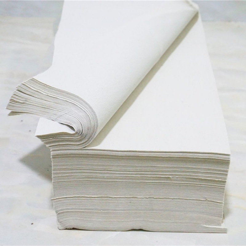 平板卫生纸皱纹大张宠物用纸散装草纸厕纸刀纸水果垫纸大尺寸规格