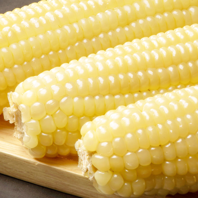 糯玉米东北粘玉米新鲜玉米棒东北玉米东北白黏玉米一件批发代发