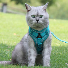 猫咪牵引绳背心式胸围带外出猫咪专用防挣脱遛猫绳银渐层链子用品