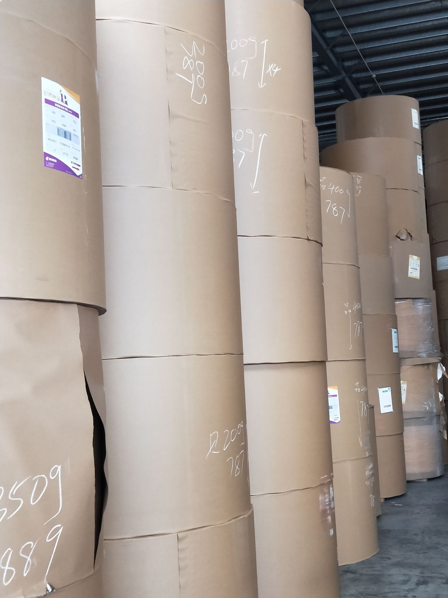 帝王松白版纸金蝶兰白卡纸/灰底白卷筒平板250克金贵双铜朱雀白卡