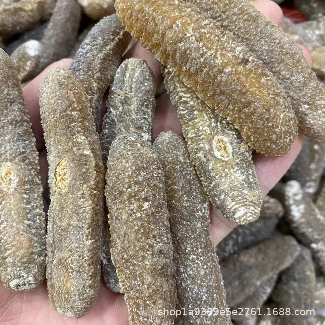 沙秃参 澳洲沙秃参 黄金沙参 精选产地直销 深海淡干海参批发