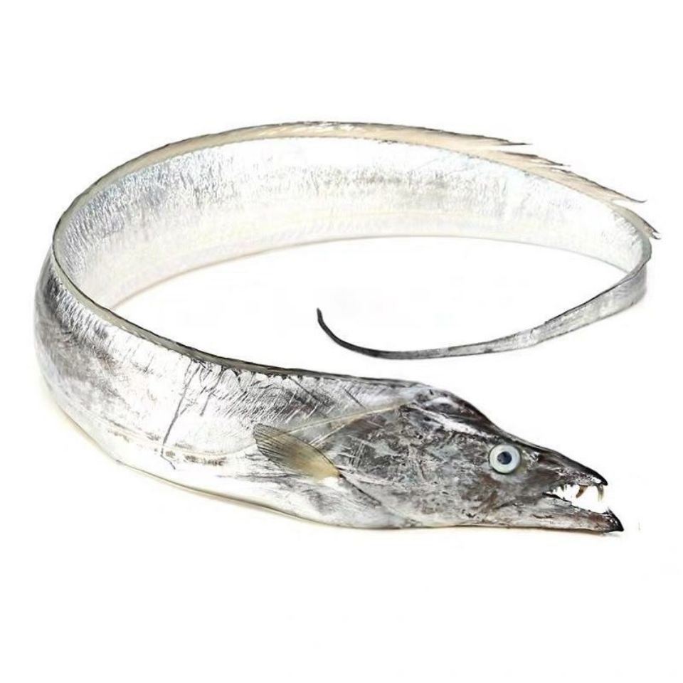 10斤包邮钓带国产深海带鱼带鱼小眼黑眼整条大带新鲜东海带鱼