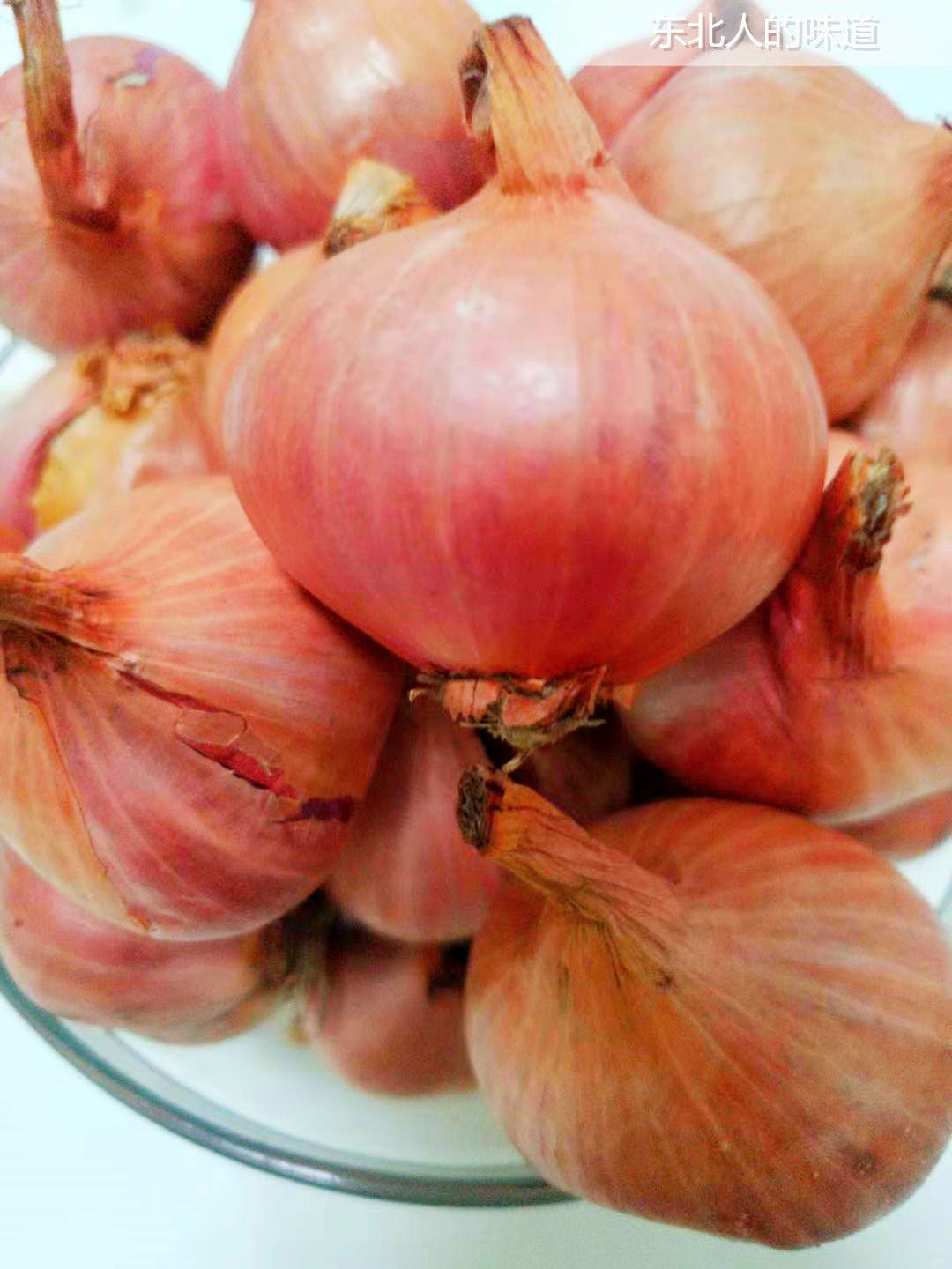 东北小毛葱鬼子葱紫皮洋葱小毛葱圆葱红葱头新鲜蔬菜批发特产