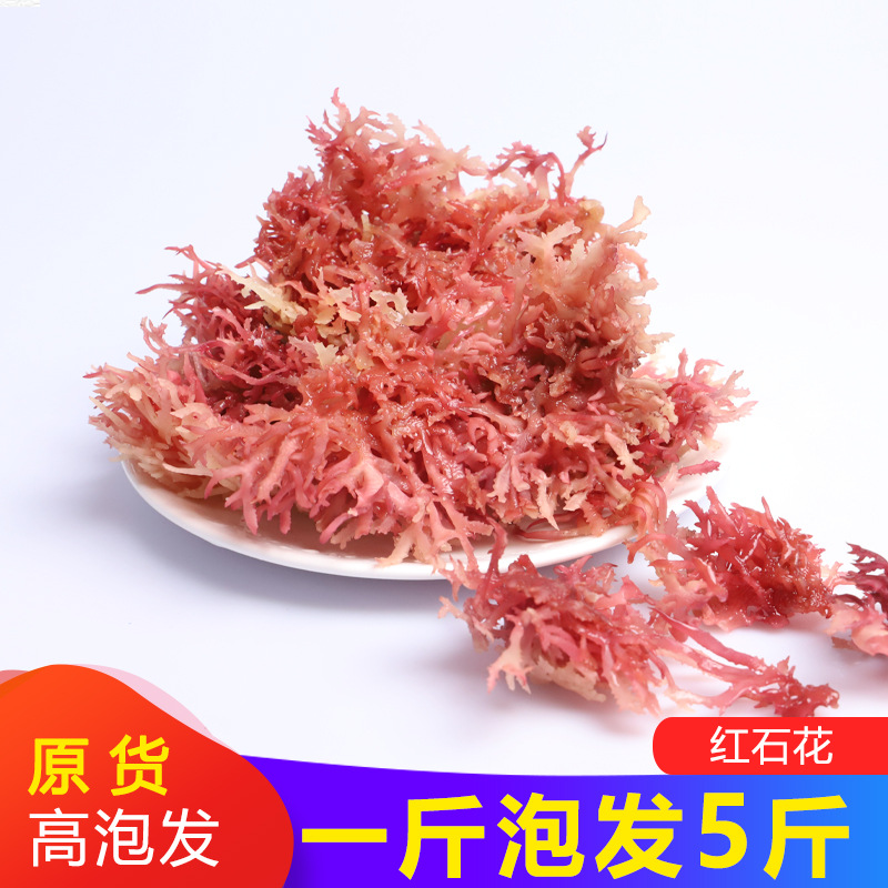 石花菜500g海石花海燕窝海石花鹿角菜红珊瑚红石花龙须菜海鲜干货