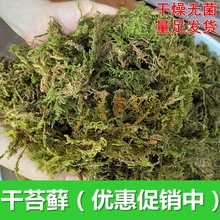 干苔藓水苔青苔乌龟过冬眠保湿椰土砖爬宠用品蝴蝶兰花石斛营养土