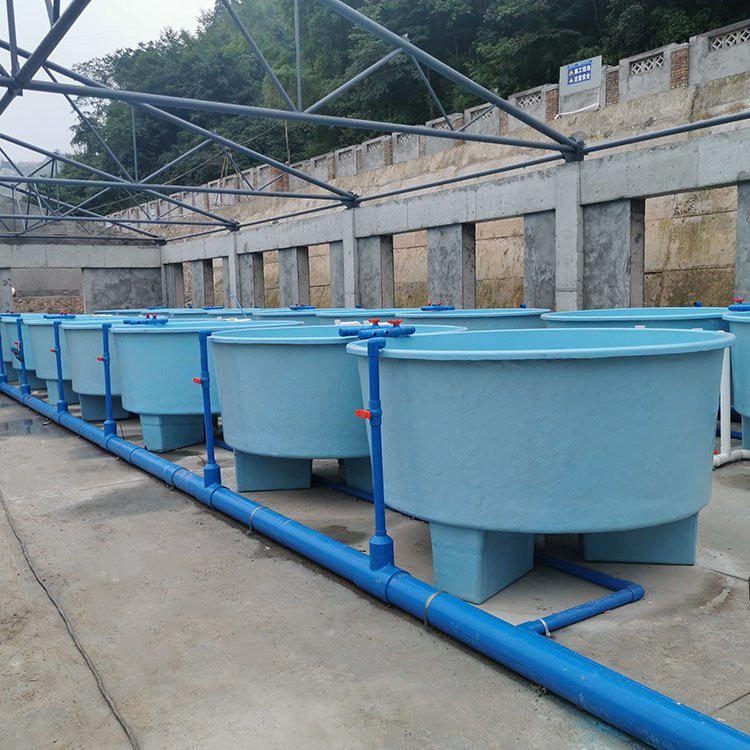 厂家供应玻璃钢圆鱼池 养殖育苗蓄水培育 孵化海鲜存放喂养桶定制
