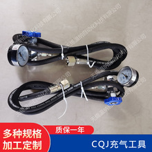 CQJ-16/25/40充气工具 QXF-5蓄能器充气阀