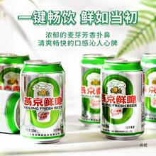 10度鲜啤 三重除氧经典清爽啤酒 330ml*24听罐易拉罐整箱包邮