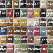 五谷粮食画手工创意种子豆豆画儿亲子立体自制工具美术DIY材料