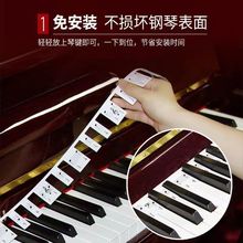 钢琴贴纸88键免粘贴纸电钢琴键盘贴初学入门五线谱音符条钢琴配件