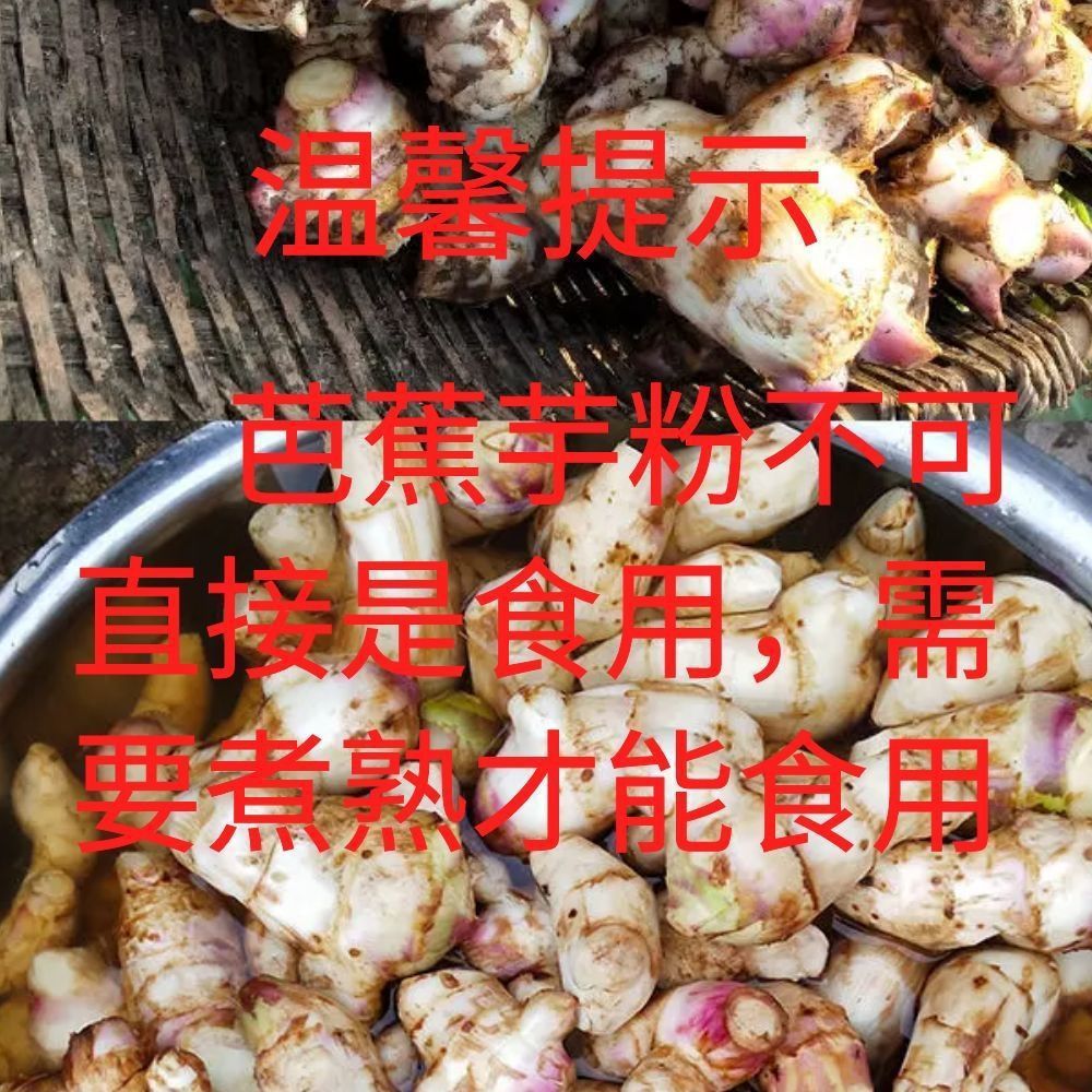 蕉芋粉农家烧仙无添加仙蜜芭蕉芋粉肉丸淀粉200g