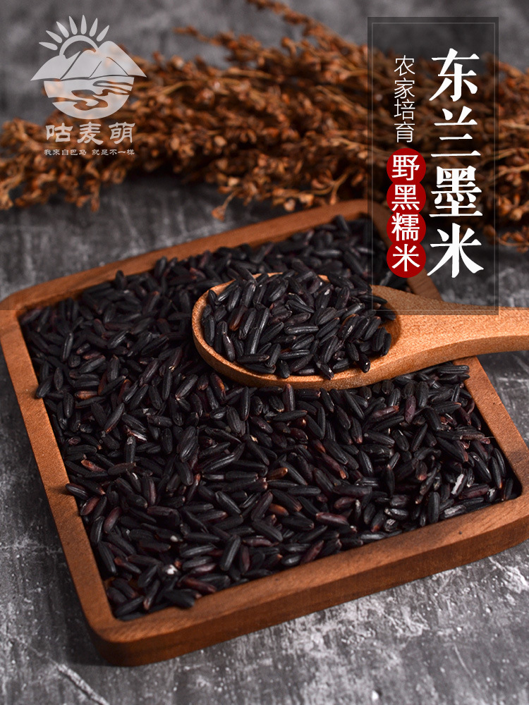 广西东兰墨米月子米血糯米农家自产黑糯米五谷杂粮2022年新米5斤