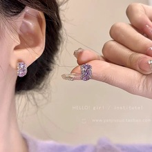 韩国小众紫色锆石耳钉女2023新款洋气耳环轻奢感百搭耳饰