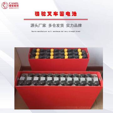 龙工esb1m35电动堆高车电池12-d-210 骆驼叉车蓄电池24v210ah