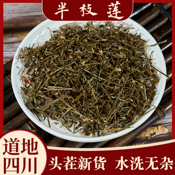 半枝莲中药材包邮成都中药材批 发半枝莲另有白花蛇舌草