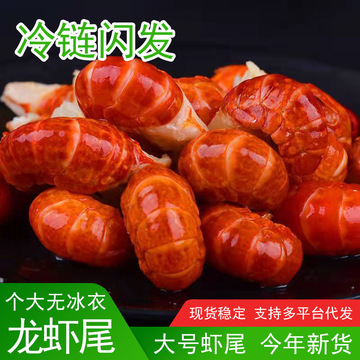 24年新货特级龙虾尾速冻一级大号无冰衣龙虾尾活虾现剥商用批发