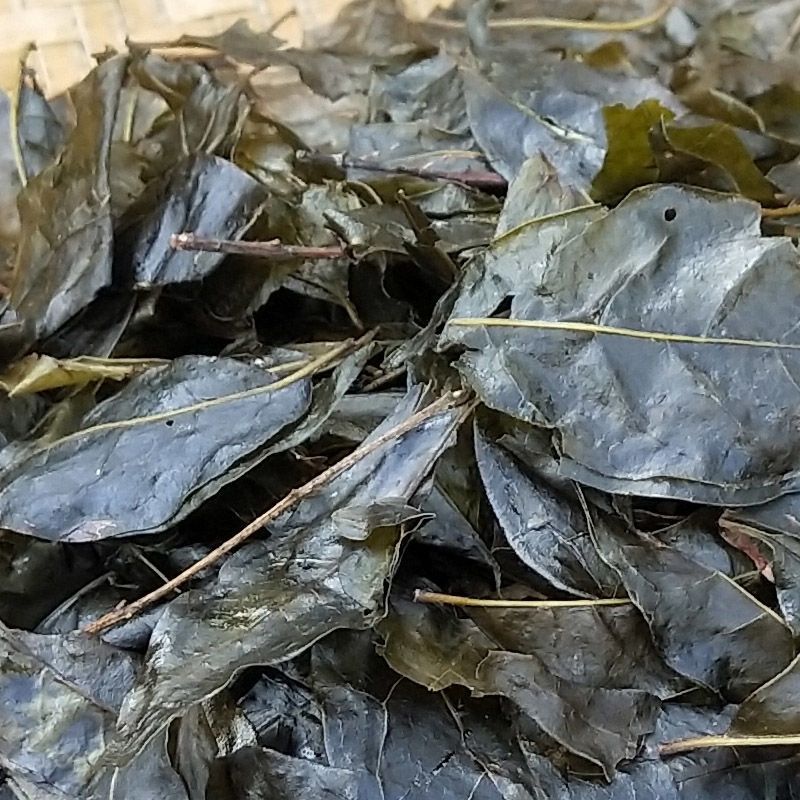 贵州特产野生苦丁茶老叶黑茶苦甘叶毛冬青余庆小叶苦丁茶500g包邮