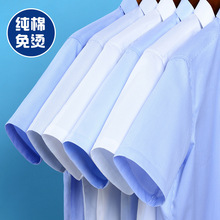 高端男士白色纯棉液氨免烫短袖衬衫logo工装职业装商务衬衣