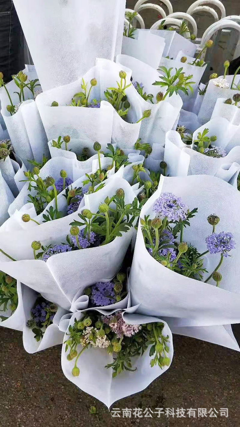 云南昆明翠珠鲜花批发鲜切花基地直发