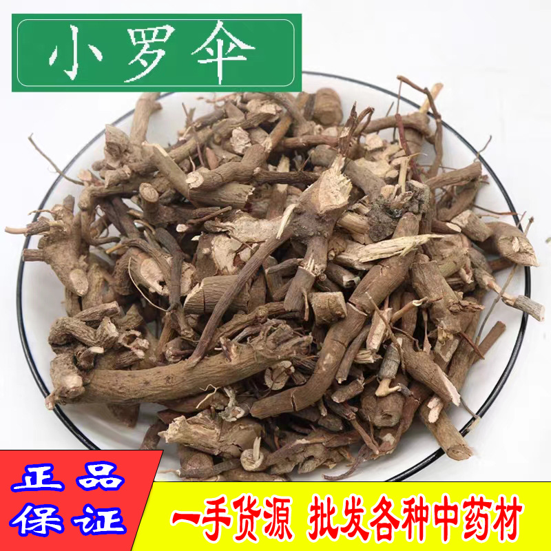 小罗伞中药 野生血党药材 紫金牛铁雨伞500克 可磨粉产地大量批发