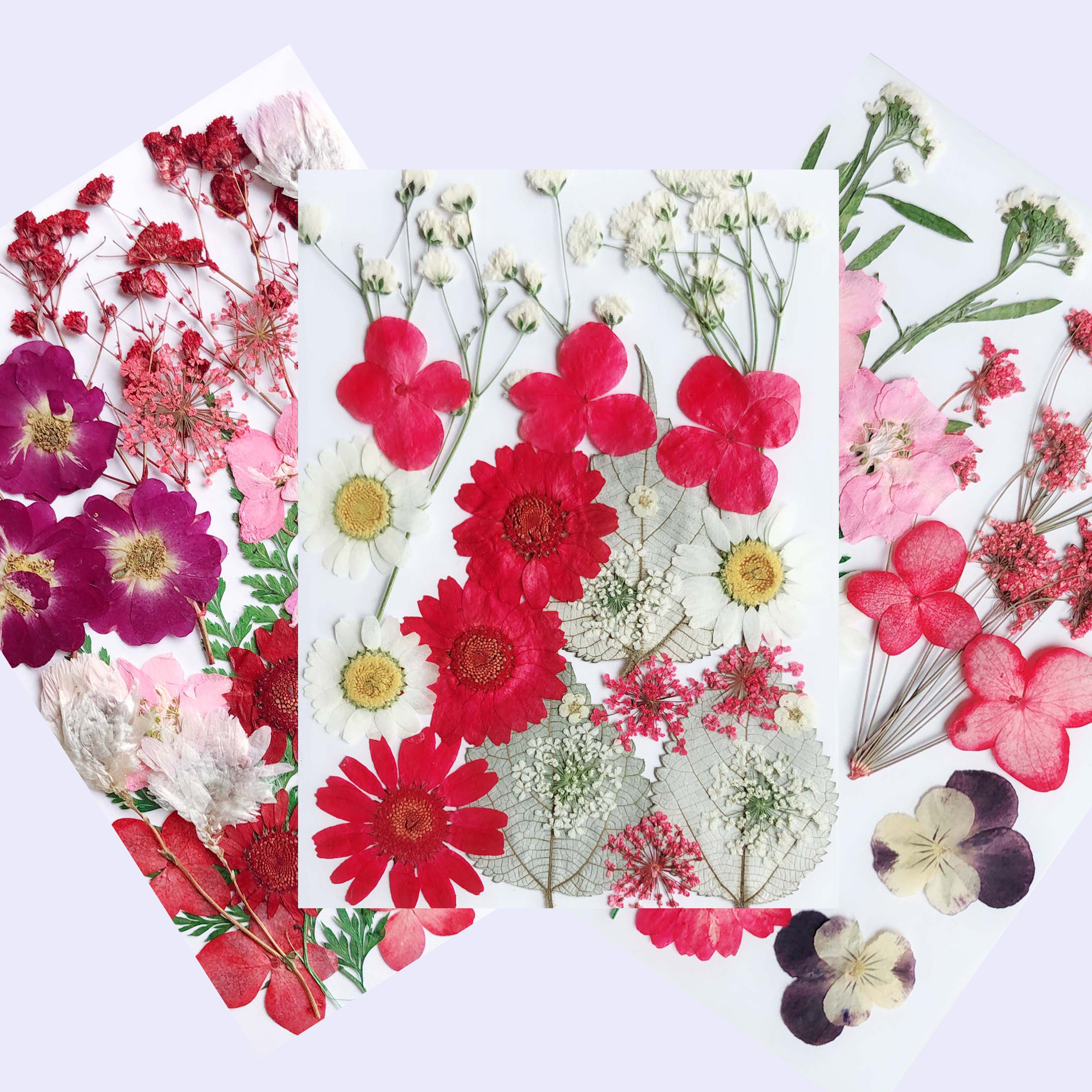 学生幼儿园手工压花diy混合干花材料包押花压花真花植物标本妆容