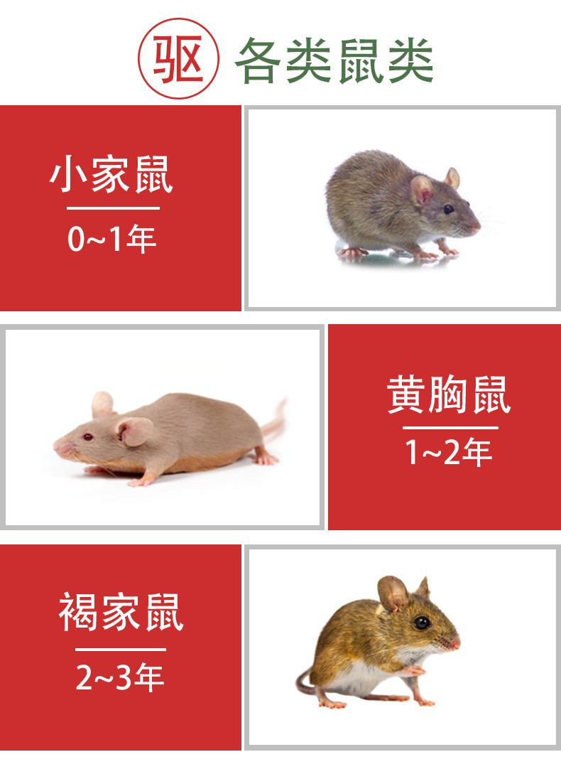 植物驱鼠剂汽车强效驱鼠膏室内防老鼠耗子神器驱老鼠药驱鼠喷雾剂