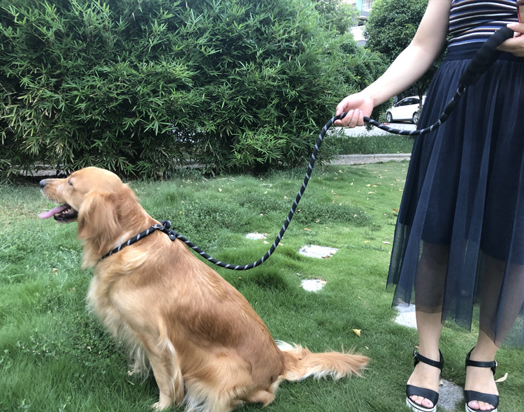 狗狗牵引绳不勒手遛狗绳链小中大型犬金毛拉布拉多阿拉斯加萨摩