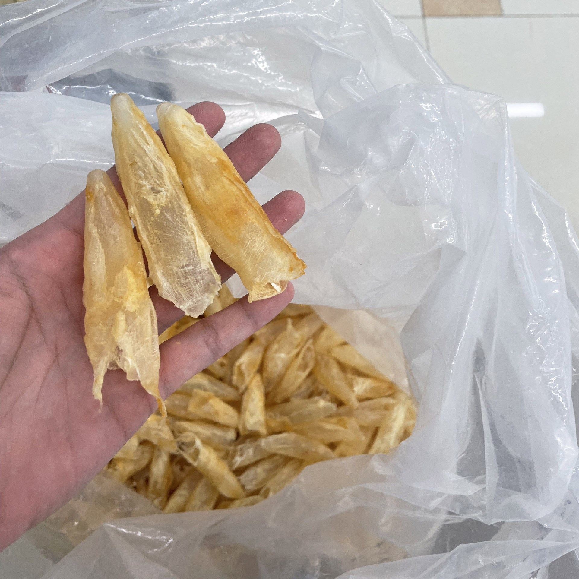 产地直批 鱼胶 海味干货 金龙胶鳘鱼胶 花胶 北海母滋补全国代发