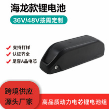 厂家直销海龙一号24V/36V/48V20ah电动自行车电池组动力款锂电池