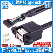 双层USB2.0线转杜邦10P可固定USB2.0双口连体线转主板10针转接线