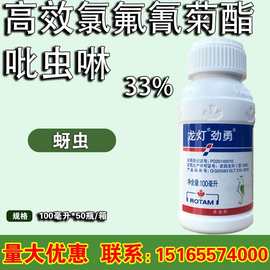 龙灯劲勇 氯氟·吡虫啉33%甘蓝小麦蚜虫香蕉蓟马杀虫剂 100ml