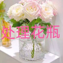 简约透明玻璃花瓶桌面插花水养干花鲜花花瓶ins风高颜值客厅摆拧