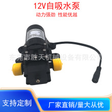 12V60W微型电动隔膜花园喷水喷雾自吸泵灌溉泵绿化浇花浇水低压泵