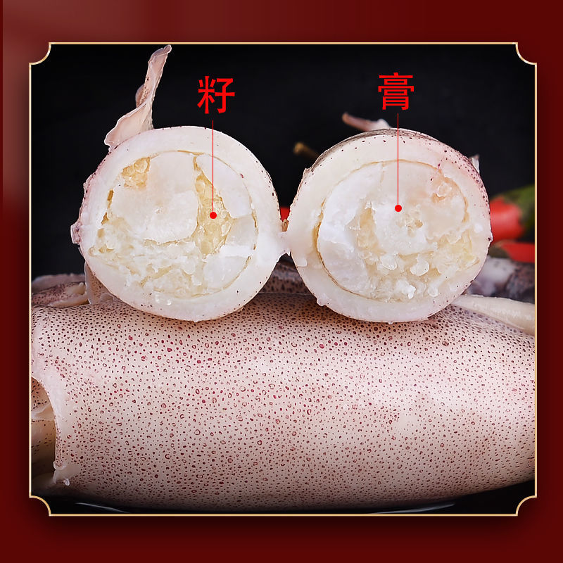 籽籽乌带籽满籽乌鱼新鲜海兔笔管鱼墨鱼鱿鱼八爪鱼斗鱼海鲜批发