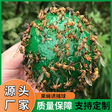 大果实蝇球针蜂诱蝇球诱捕器粘虫球柑橘针蜂黄色绿色蚊虫球