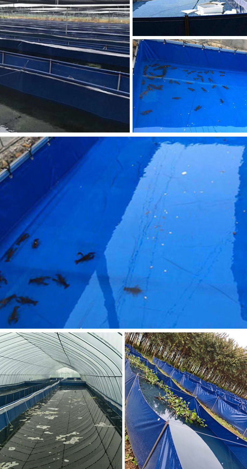 养鱼帆布池水池鱼池专用防水布水池蓄水池圆形帆布鱼池养殖水池