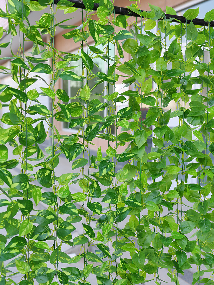 藤条绿萝叶装饰假树叶绿藤藤蔓塑料花藤水管道遮挡空调绿叶花