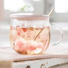 400ml Creative Sakura Glass Coffee Mug Cute Transparent Heat