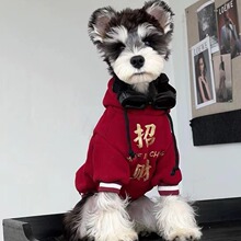 狗狗新年衣服冬装小型犬雪纳瑞泰迪博美过年保暖喜庆加绒加厚衣服