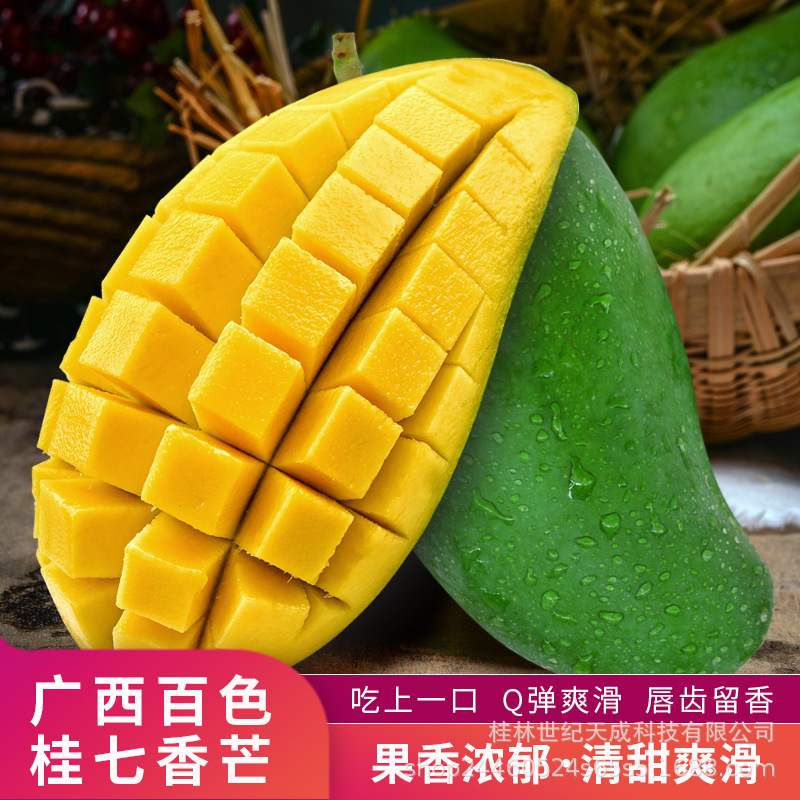 广西百色田东桂七芒果9斤礼盒装产地顺丰直发新鲜水果一件代发