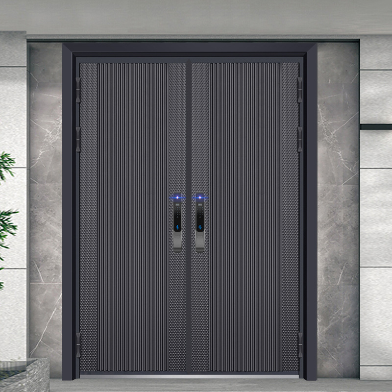 现代简约双开防爆铝钢门 家用自建房入户门 别墅大门客厅防盗门