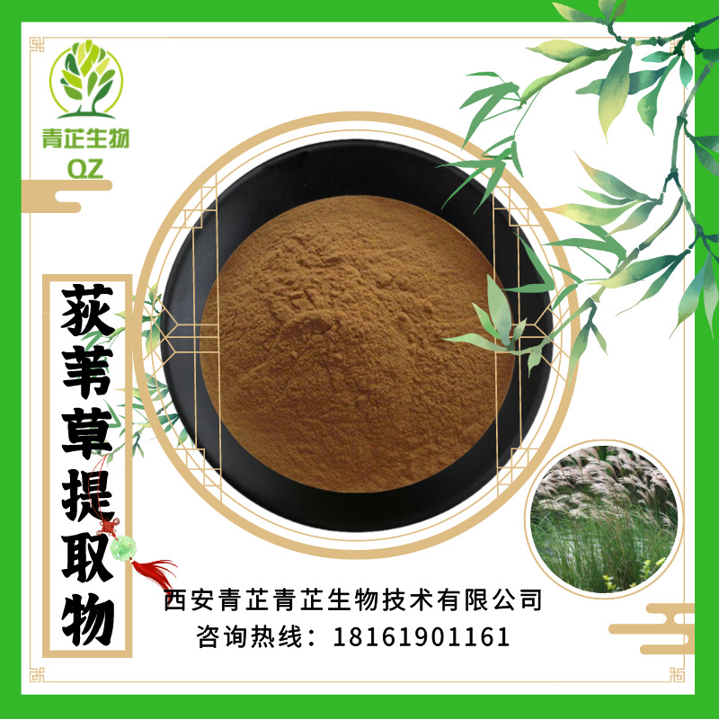 荻苇草提取物 10:1 20:1 荻苇草浸膏粉 荻苇草提取液 青芷生物