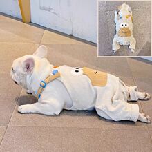 秋冬新款法斗巴哥犬斗牛犬衣服潮牌青蛙可爱四脚衣比熊保暖背带裤