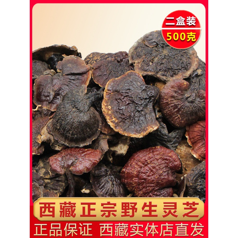 野生正品灵芝西藏干货林芝赤灵芝非孢子粉片整枝野生500克礼盒装